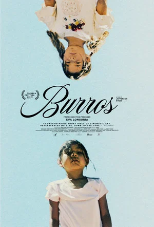 Постер: Burros