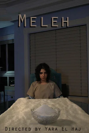 Постер: Meleh