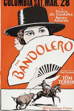 Постер: The Bandolero