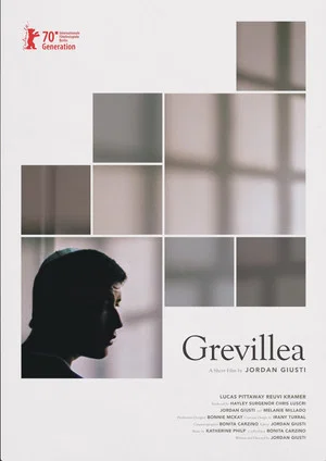 Постер: Grevillea