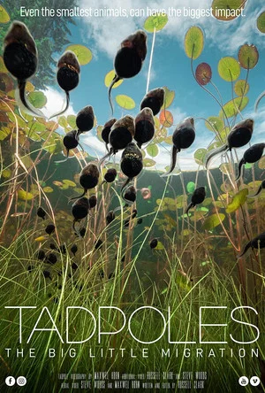 Постер: Tadpoles: The Big Little Migration