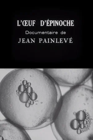Постер: The Stickleback's Eggs