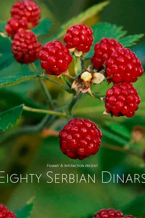 Постер: Eighty Serbian Dinars