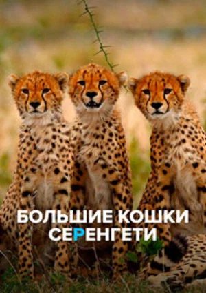 Постер: Большие кошки Серенгети