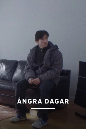 Постер: Days of Regret