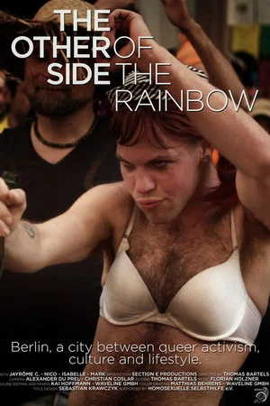 Постер: The Other Side of the Rainbow