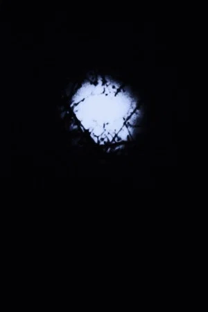 Постер: Night Awakening