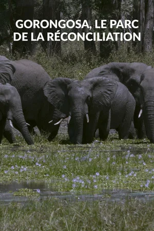 Постер: Gorongosa, le parc de la réconciliation