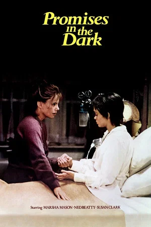 Постер: Promises in the Dark