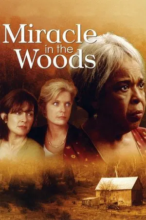 Постер: Miracle in the Woods