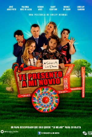 Постер: Te presento a mi novio