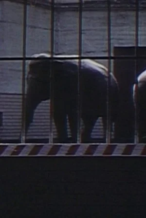 Постер: Elephants: Fragments in an Argument