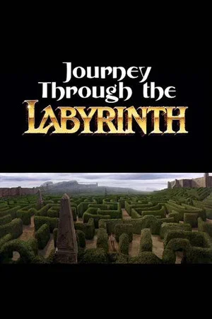 Постер: Journey Through the Labyrinth