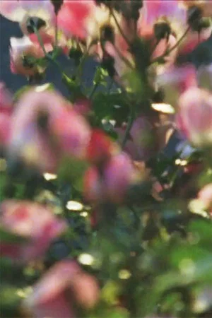 Постер: From March to June