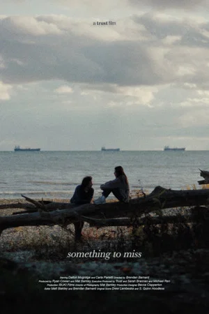 Постер: Something to Miss