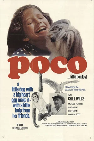 Постер: Poco… Little Dog Lost