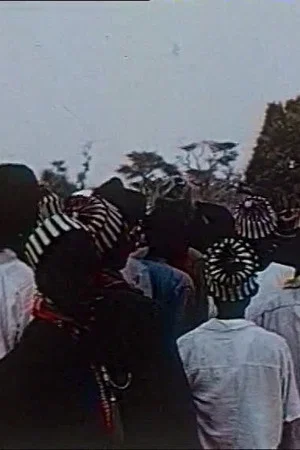 Постер: Réjouissances sénégalaises