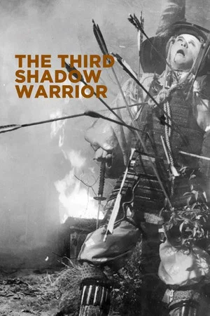 Постер: The Third Shadow Warrior