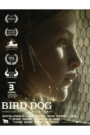 Постер: Bird Dog