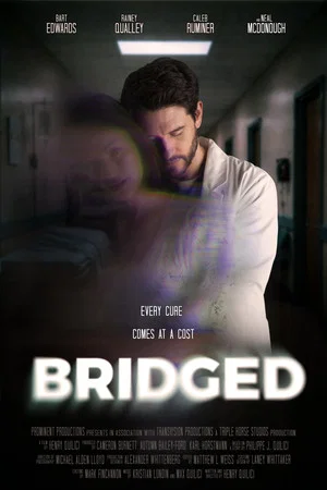 Постер: Bridged