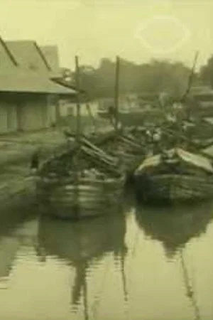 Постер: Sugar shipping at the N.V. Afscheep- en Commissiezaak, Formerly J.F. Esser