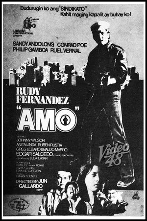 Постер: Amo