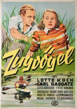 Постер: Zugvögel