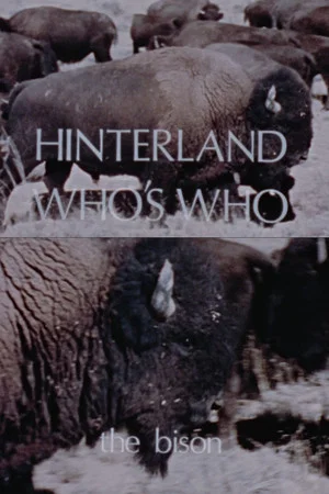 Постер: Hinterland Who's Who: The Bison