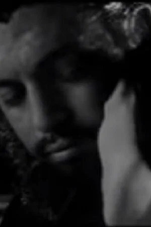 Постер: Meeting Che Guevara & the Man from Maybury Hill