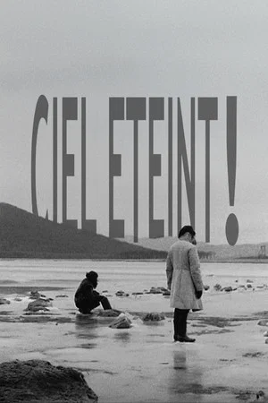 Постер: Ciel éteint !