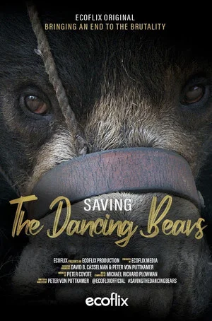 Постер: Saving the Dancing Bears