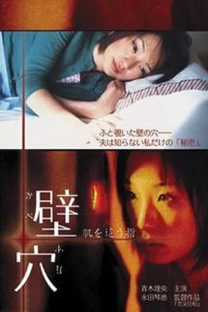 Постер: The Hole