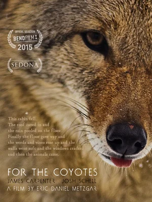 Постер: For the Coyotes