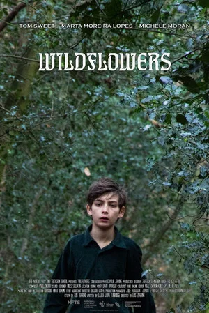 Постер: Wildflowers