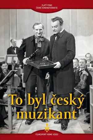 Постер: To byl český muzikant