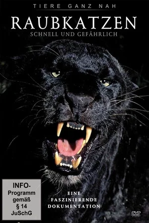 Постер: Big Cats: Fast and Dangerous
