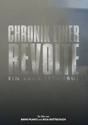 Постер: Chronicle of a Revolt: One Year Istanbul