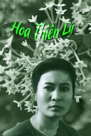 Постер: Hoa Thiên Lý