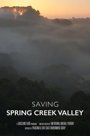 Постер: Saving Spring Creek Valley
