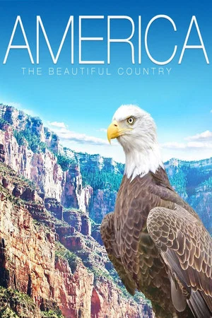 Постер: America: The Beautiful Country