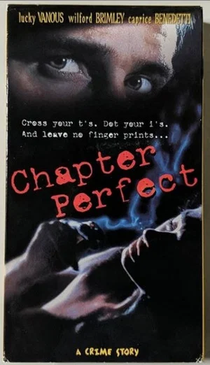 Постер: CHAPTER PERFECT