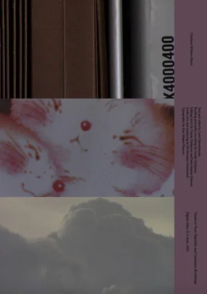 Постер: Citations Without Music