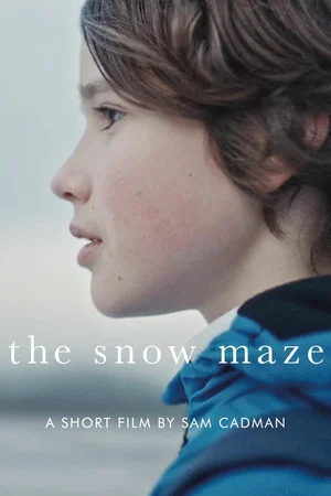 Постер: The Snow Maze