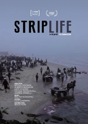 Постер: Striplife