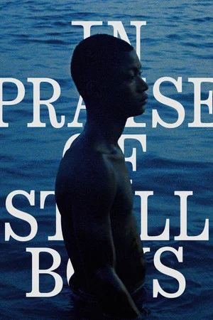 Постер: In Praise of Still Boys