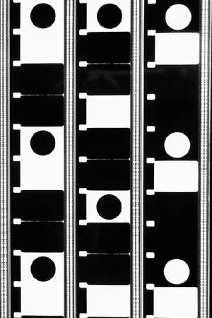 Постер: The Framing of Perception