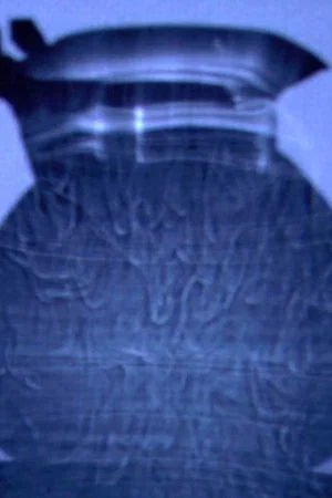 Постер: A Teakettle’s Thermal Beings