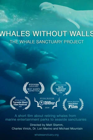 Постер: Whales Without Walls