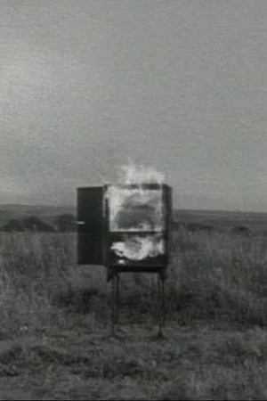 Постер: TV Interruptions: Burning TV