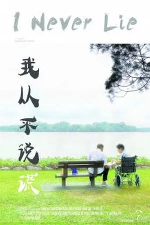 Постер: I Never Lie